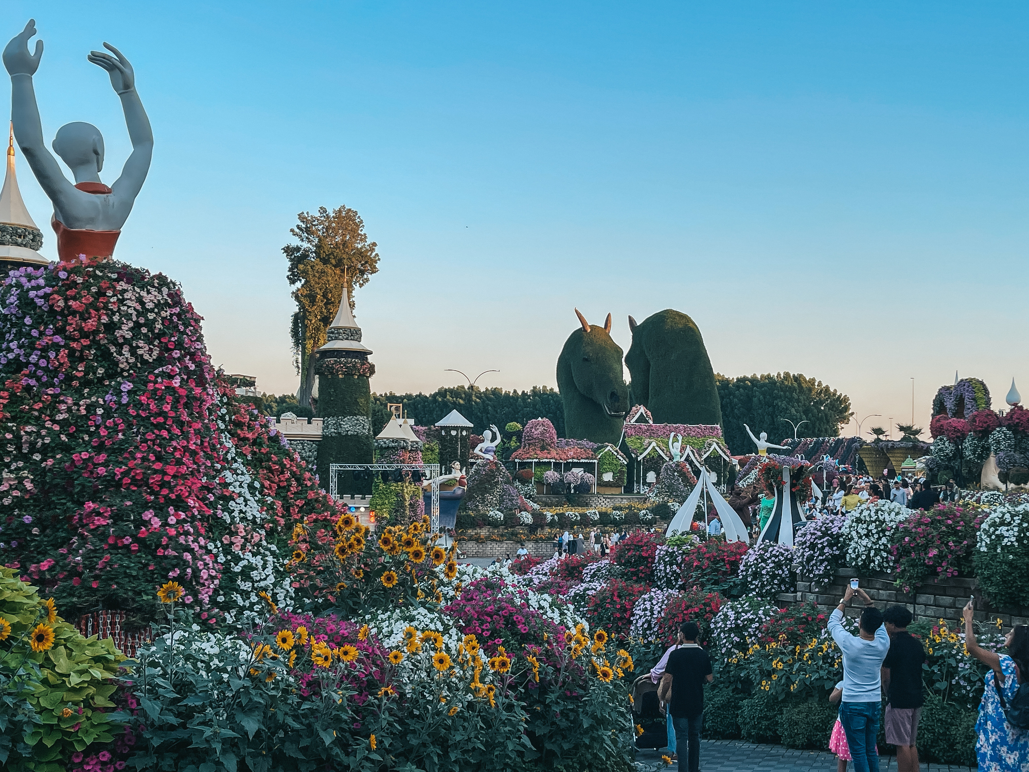 Miracle Garden i Dubai.
