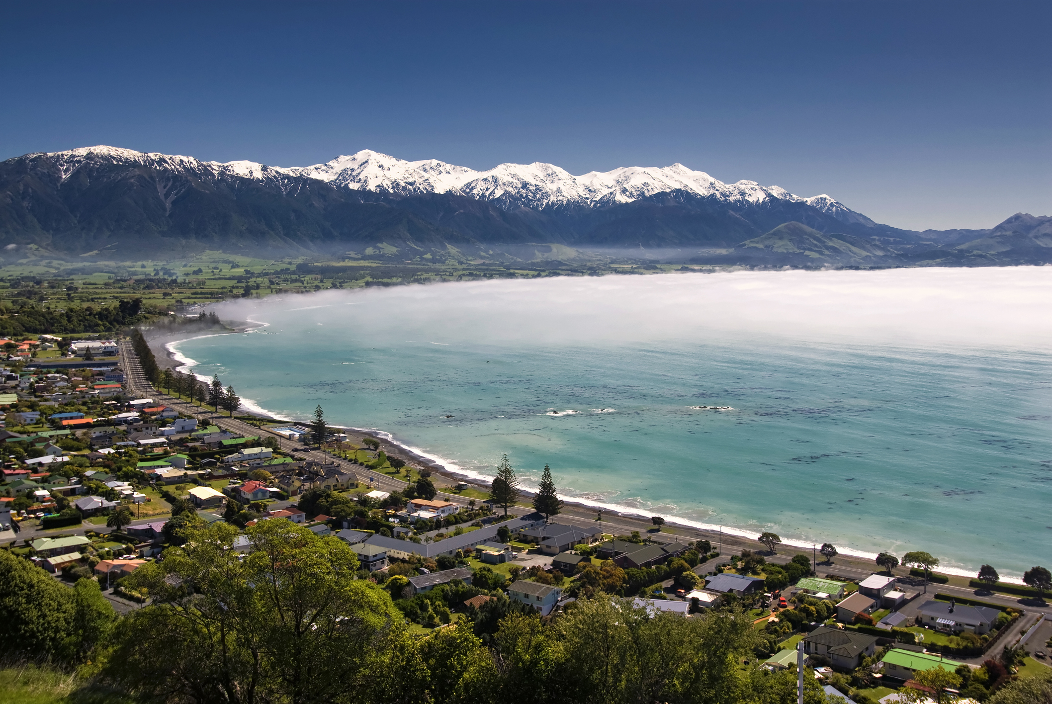 Kaikoura.