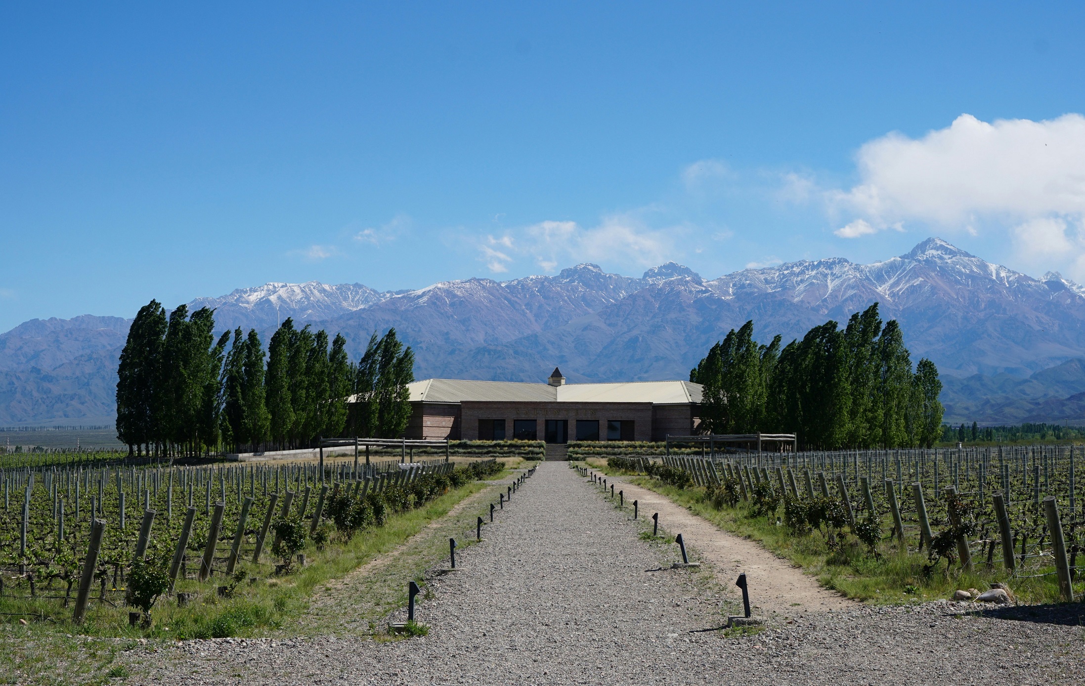Mendoza.