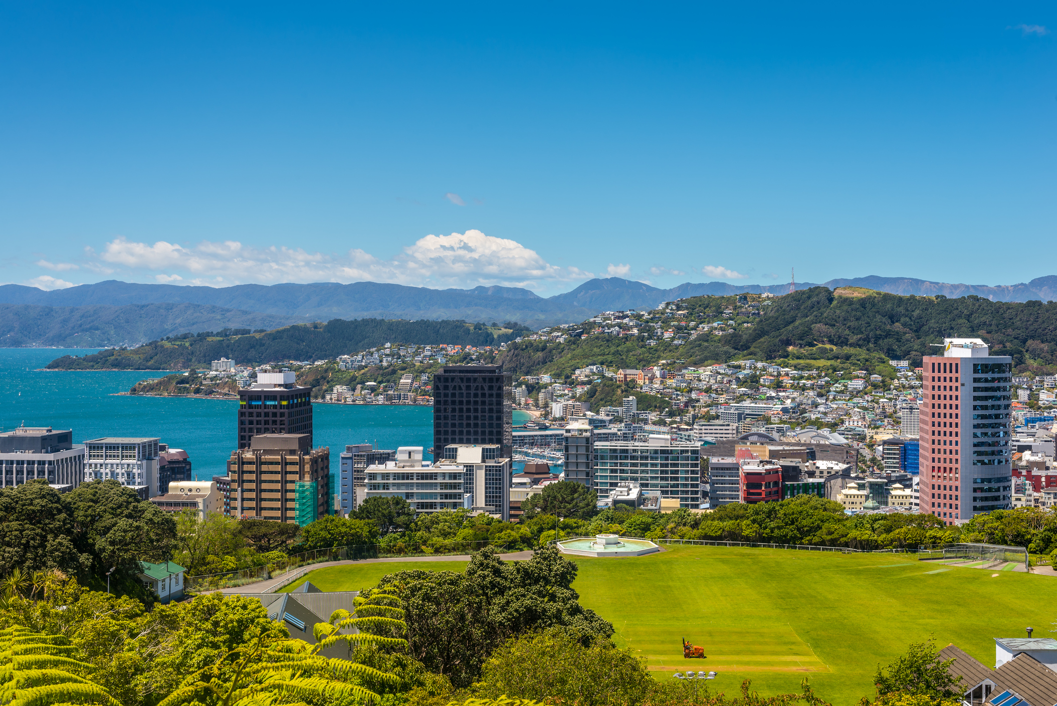 Wellington.